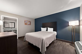 Room, 1 King Bed, Accessible, Non Smoking