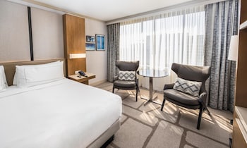 Room, 1 King Bed