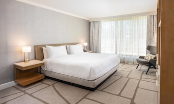 Room, 1 King Bed, Accessible (Roll-In Shower)