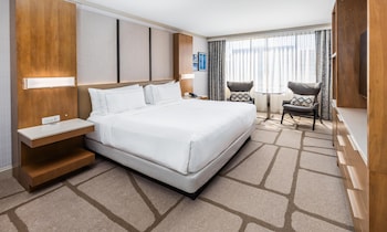 Room, 1 King Bed