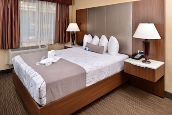 Standard Room, 1 Queen Bed, Non Smoking, Refrigerator & Microwave
