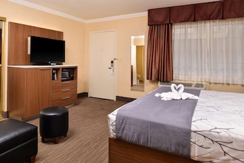 Standard Room, 1 Queen Bed, Non Smoking, Refrigerator & Microwave
