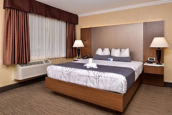 Standard Room, 1 Queen Bed, Non Smoking, Refrigerator & Microwave