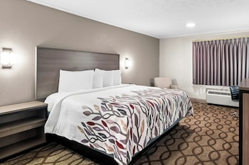 Superior Room, 1 King Bed, Smoking