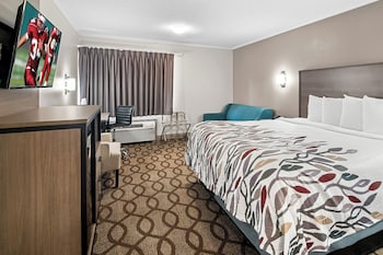 Suite, 1 King Bed with Sofa bed, Non Smoking