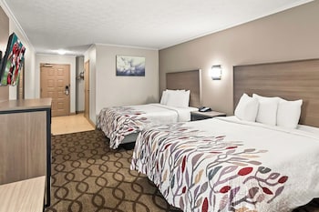 Deluxe Room, 2 Queen Beds, Smoking