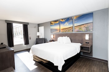 Room, 1 King Bed, Accessible, Non Smoking