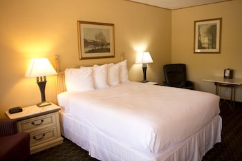 Room, 1 Queen Bed, Non Smoking