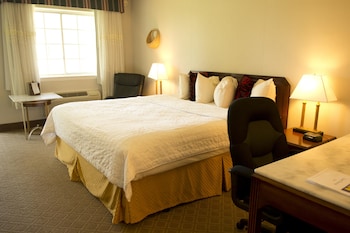 Room, 1 King Bed, Non Smoking