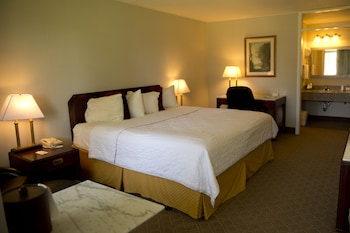 Room, 1 King Bed, Non Smoking