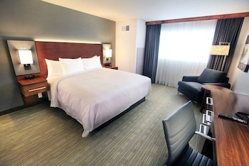 Room, 1 King Bed
