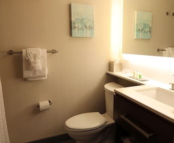 Room, 1 King Bed