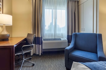 Room, 1 Queen Bed, Accessible, Non Smoking (Roll-In Shower)