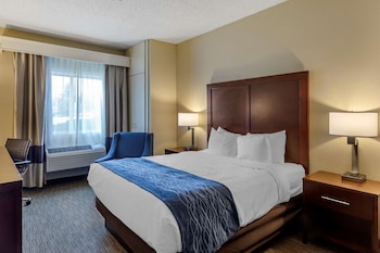 Room, 1 Queen Bed, Accessible, Non Smoking (Roll-In Shower)