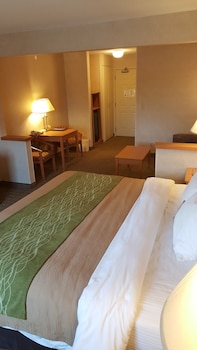 Suite, 1 Queen Bed with Sofa bed, Non Smoking