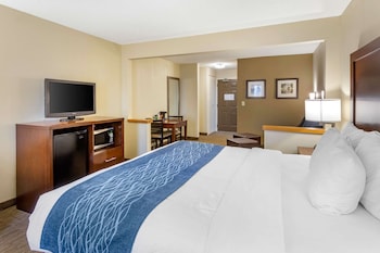 Suite, 1 King Bed with Sofa bed, Non Smoking