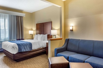 Suite, 1 Queen Bed with Sofa bed, Non Smoking
