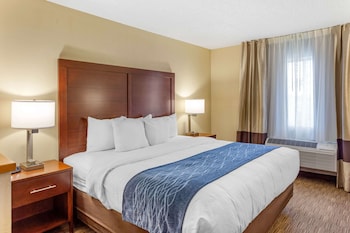 Suite, 1 King Bed with Sofa bed, Non Smoking