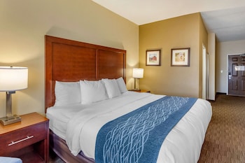 Standard Room, 1 King Bed, Non Smoking