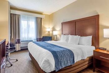 Standard Room, 1 King Bed, Non Smoking