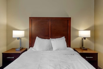 Room, 1 Queen Bed, Accessible, Non Smoking (Roll-In Shower)