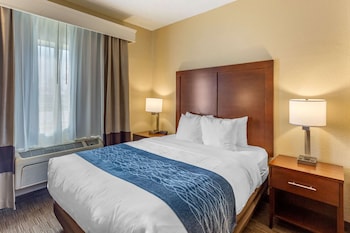 Room, 1 Queen Bed, Accessible, Non Smoking (Roll-In Shower)