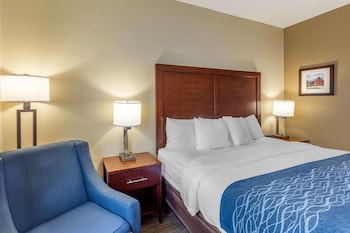 Standard Room, 1 King Bed, Non Smoking