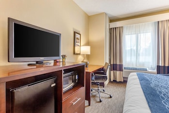 Standard Room, 1 King Bed, Non Smoking