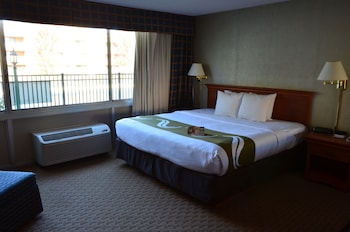 Room, 1 King Bed, Non Smoking