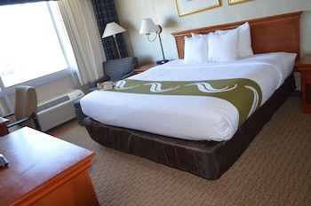 Room, 1 King Bed, Non Smoking