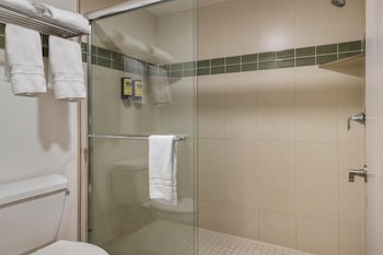 Standard Room, 1 King Bed, Accessible, Refrigerator & Microwave