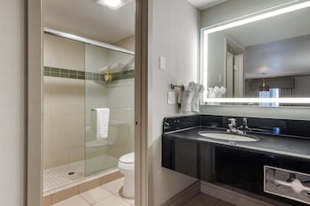 Standard Room, 1 King Bed, Non Smoking, Refrigerator & Microwave (with Sofabed)