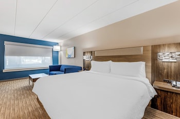 Standard Room, 1 King Bed with Sofa bed