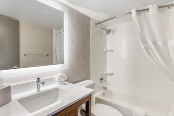 Suite, 1 King Bed