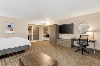 Standard Room, 1 King Bed with Sofa bed
