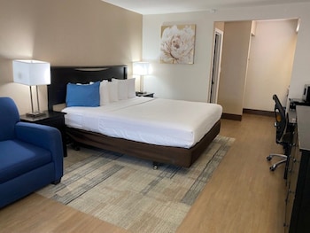Standard Room, 1 King Bed with Sofa bed, Accessible Bathtub