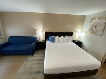 Standard Room, 1 King Bed with Sofa bed