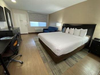 Standard Room, 1 King Bed with Sofa bed