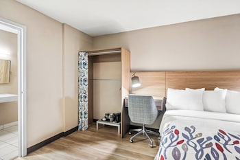 Superior Room, 1 Double Bed, Roll-in Shower, Non Smoking
