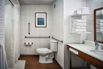Room, 1 King Bed, Accessible (Roll-In Shower)