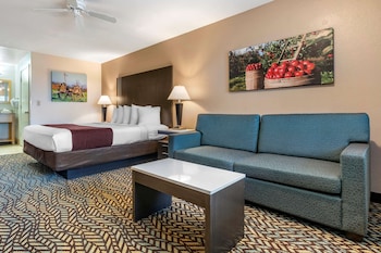 Standard Room, 1 King Bed, Non Smoking, Hot Tub (Oversized Room)