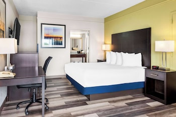 Standard Room, 1 King Bed, Non Smoking, Refrigerator & Microwave