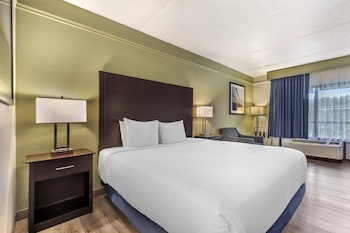 Standard Room, 1 King Bed, Non Smoking, Refrigerator & Microwave