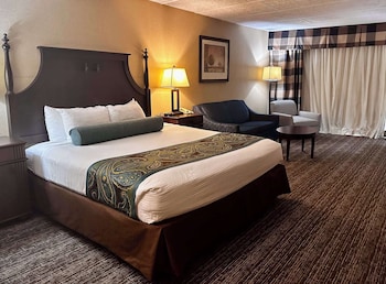 Standard Room, 1 King Bed with Sofa bed, Non Smoking (No Pets)