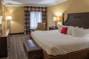 Room, 1 King Bed with Sofa bed, Balcony, Courtyard View