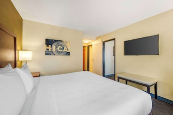 Suite, 1 King Bed with Sofa bed, Non Smoking, Corner (with Sofabed)