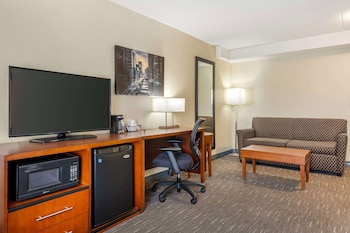 Standard Room, 1 King Bed with Sofa bed, Non Smoking (with Sofabed)