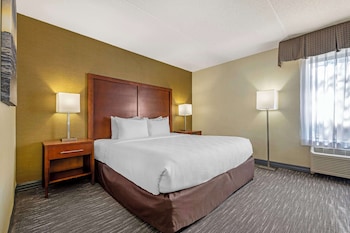Standard Room, 1 King Bed, Accessible, Non Smoking