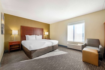 Standard Room, 1 King Bed with Sofa bed, Non Smoking (with Sofabed)