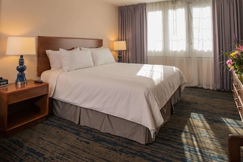 Deluxe Room, 1 King Bed, Accessible